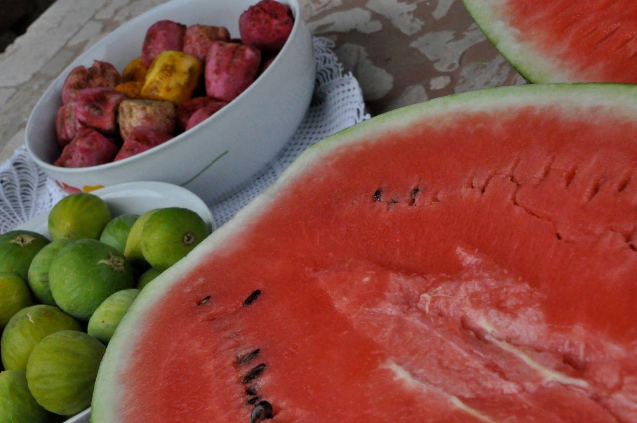 B&B La Seta Rossa Galatone Zewnętrze zdjęcie